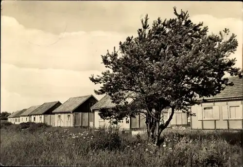 Ak Seeheilbad Zingst an der Ostsee, Urlauberdorf, Bungalows