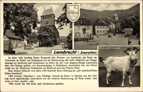 Ak Lambrecht in der Pfalz, Kirchplatz, historischer Geissbock, Wappen