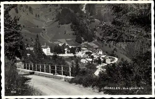 Ak Lavey-Morcles Kanton Waadt, Vue generale