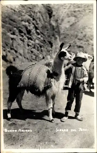 Foto Ak Peru, Lama, Junge