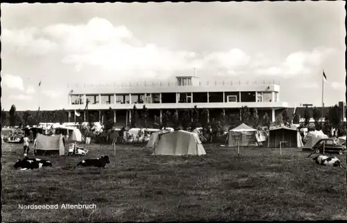 Ak Nordseebad Altenbruch Cuxhaven, Campingplatz, Kühe