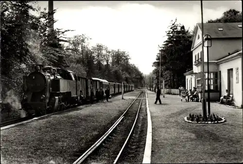 Ak Seebad Heiligendamm Bad Doberan, Bahnhof, Bäderbahn, Gleisseite