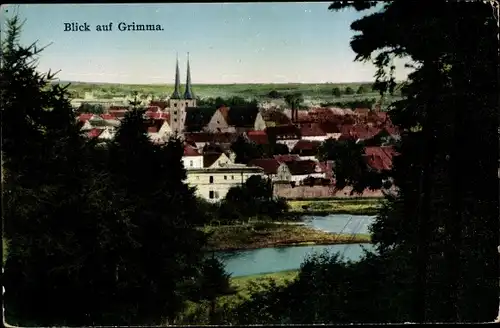 Ak Grimma in Sachsen, Teilansicht