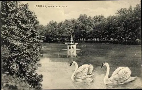 Ak Grimma in Sachsen, Partie am Schwanenteich, Schwäne