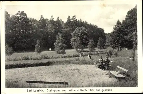 Ak Bad Lausick in Sachsen, Steingrund vom Wilhelm Kupferplatz aus gesehen