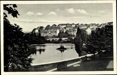 Ak Döbeln in Mittelsachsen, Blick über das Wasser auf die Stadt, Bürgergarten