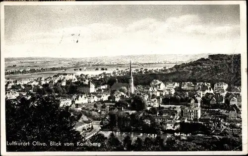 Ak Oliva Gdańsk Danzig, Panorama vom Karlsberg