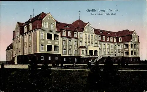 Ak Gryfów Śląski Greiffenberg Schlesien, Sanatorium Birkenhof
