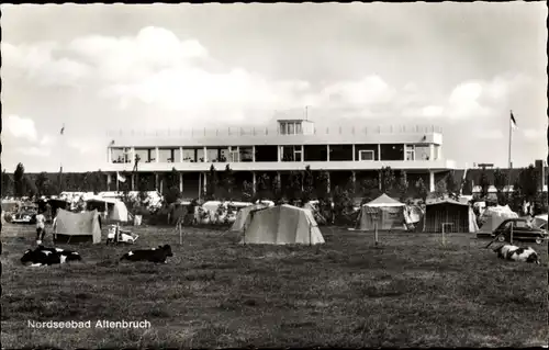 Ak Nordseebad Altenbruch Cuxhaven, Campingplatz, Kühe