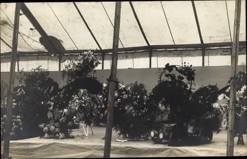 Foto Ak Amsterdam, Zimmerpflanzen, Blumen, Gewächshaus