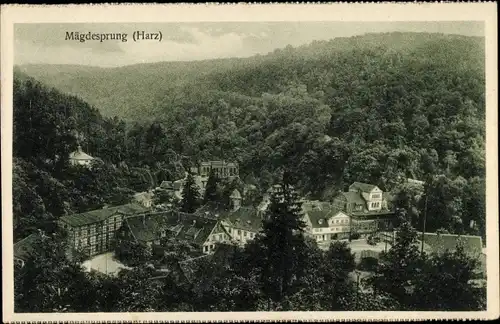 Ak Mägdesprung Harzgerode am Harz, Teilansicht vom Ort