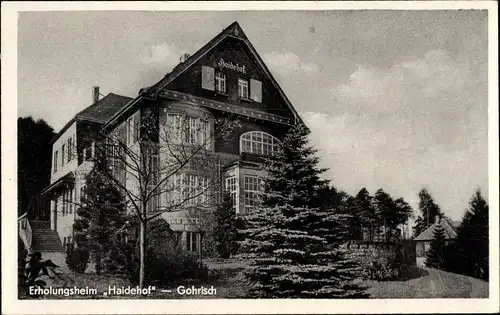 Ak Gohrisch Sächsische Schweiz, Erholungsheim Haidehof