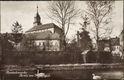 Ak Bischofswerda im Kreis Bautzen, Partie am Mühlteich, Schwäne, Kirche