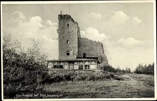 Ak Szczawno Zdrój Bad Salzbrunn Niederschlesien, Hochwald