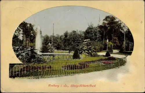 Ak Freiberg in Sachsen, König Albert Park
