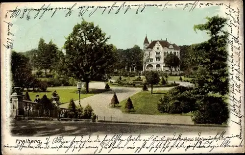 Ak Freiberg in Sachsen, König Albert Park