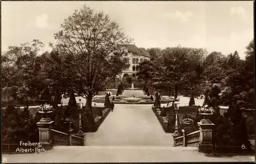 Ak Freiberg in Sachsen, Albert Park, Springbrunnen
