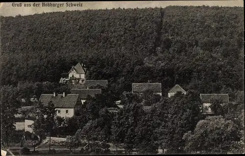 Ak Kapsdorf Hohburg Lossatal, Gasthof zur Hohburger Schweiz, Wald