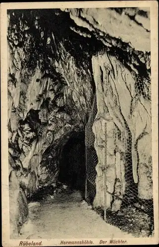 Ak Rübeland Oberharz am Brocken, Hermannshöhle, der Wächter