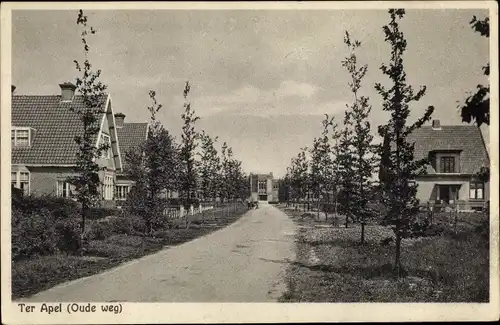 Ak Ter Apel Groningen, Straßenpartie, Oude weg