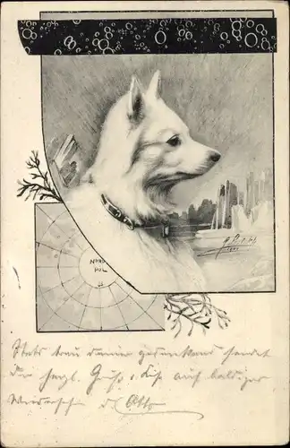 Künstler Ak Hund-Portrait, Tier-Portrait, Nordpol