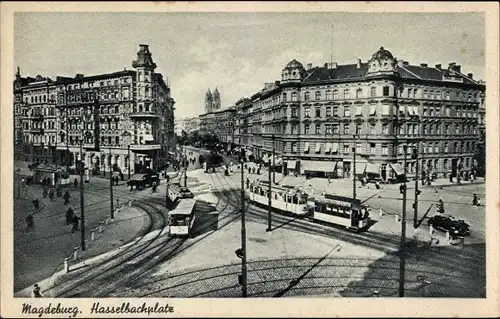 Ak Magdeburg, Hasselbachplatz, Straßenbahnen