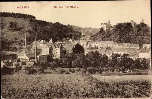 Ak Nossen in Sachsen, Teilansicht mit Schloss