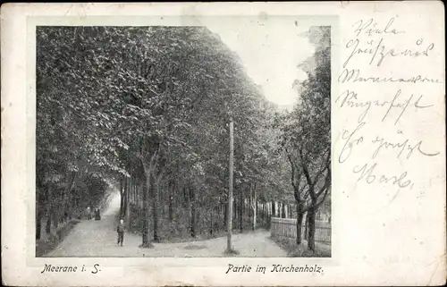 Ak Meerane in Sachsen, Partie im Kirchenholz