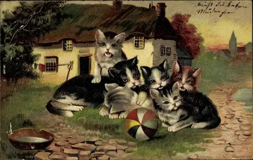 Ak Junge Katzen mit einem Ball, Reklame Hoffmanns Stärkefabriken Salzuflen