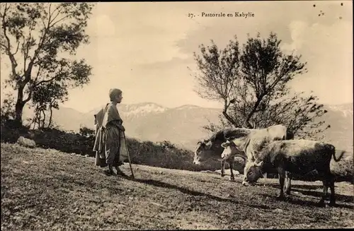 Ak Kabylie Algerien, Pastorale, Kuh Hirte