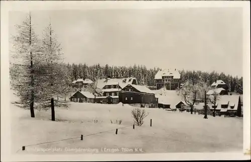 Foto Ak Oberbärenburg Altenberg im Erzgebirge, Teilansicht, Winteridyll