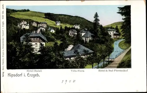 Ak Kipsdorf Altenberg im Erzgebirge, Hotel Halali, Villa Flora, Hotel und Bad Fürstenhof