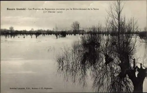 Ak Rouen Seine Maritime, Inonde, Les Prairies de Bapeaume couvertes par le Debordement de la Seine