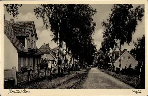 Ak Bomlitz im Heidekreis, Dorfstraße, Straßenpartie