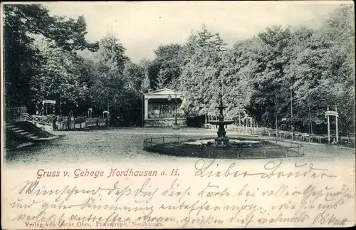 Ak Nordhausen am Harz, Gehege, Parkanlage