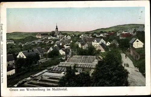 Ak Wechselburg Landkreis Mittelsachsen, Totalansicht der Stadt, Gewächshäuser