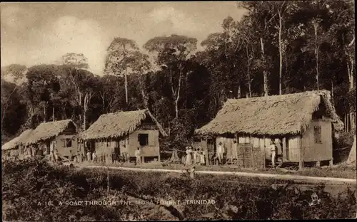 Ak Trinidad, a Road Through the Mora Forest