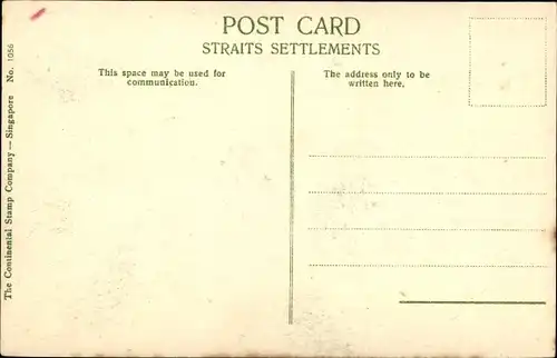 Ak Singapur, Cocoanut Estate, Palmen