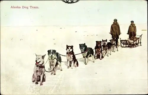 Ak Alaska USA, Dog Team