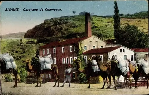 Ak Smyrna Izmir Türkei, Caravane de Chameaux, Kamele