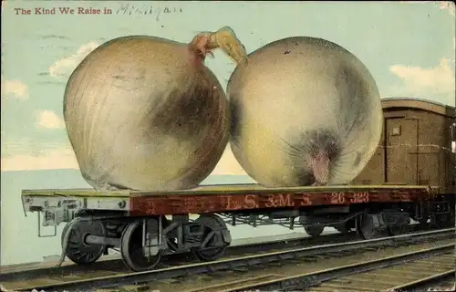 Ak USA, The kind we raise in, Zwiebeln auf einem Güterzug