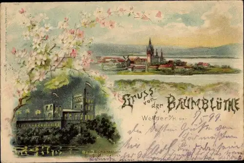 Litho Werder an der Havel, Gruß von der Baumblüte, Bismarckhöhe, Altenkirchen