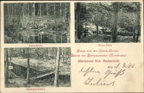 Ak Briese Birkenwerder im Kreis Oberhavel, Elsenquelle, Briese Delta, Restaurant, Herkulesbrücke