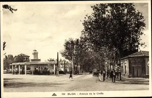 Ak Blida Algerien, Avenue de la Chiffa