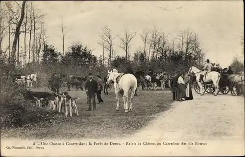 Ak Dreux Eure et Loir, Une Chasse a Courre dans la Foret, relais de chiens