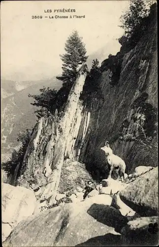 Ak Les Pyrénées, La Chasse, vue générale d'un Isard