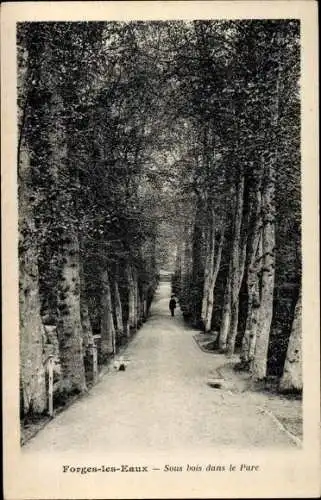 Ak Forges les Eaux Seine Maritime, Sous bois dans le Pare, Allee