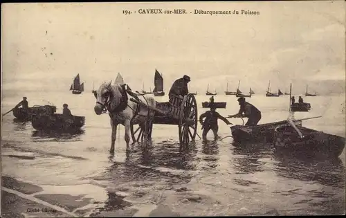 Ak Cayeux sur Mer Somme, Debarquement du Poisson