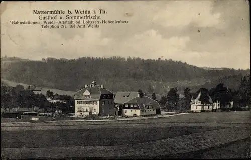 Ak Nattermühle Weida in Thüringen, Gasthof und Sommerfrische, Teilansicht des Ortes