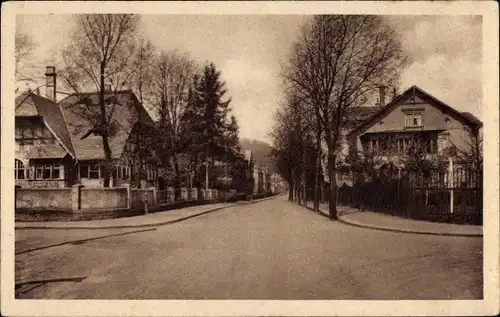 Ak Augustusburg im Erzgebirge, Waldstraße, Villenkolonie